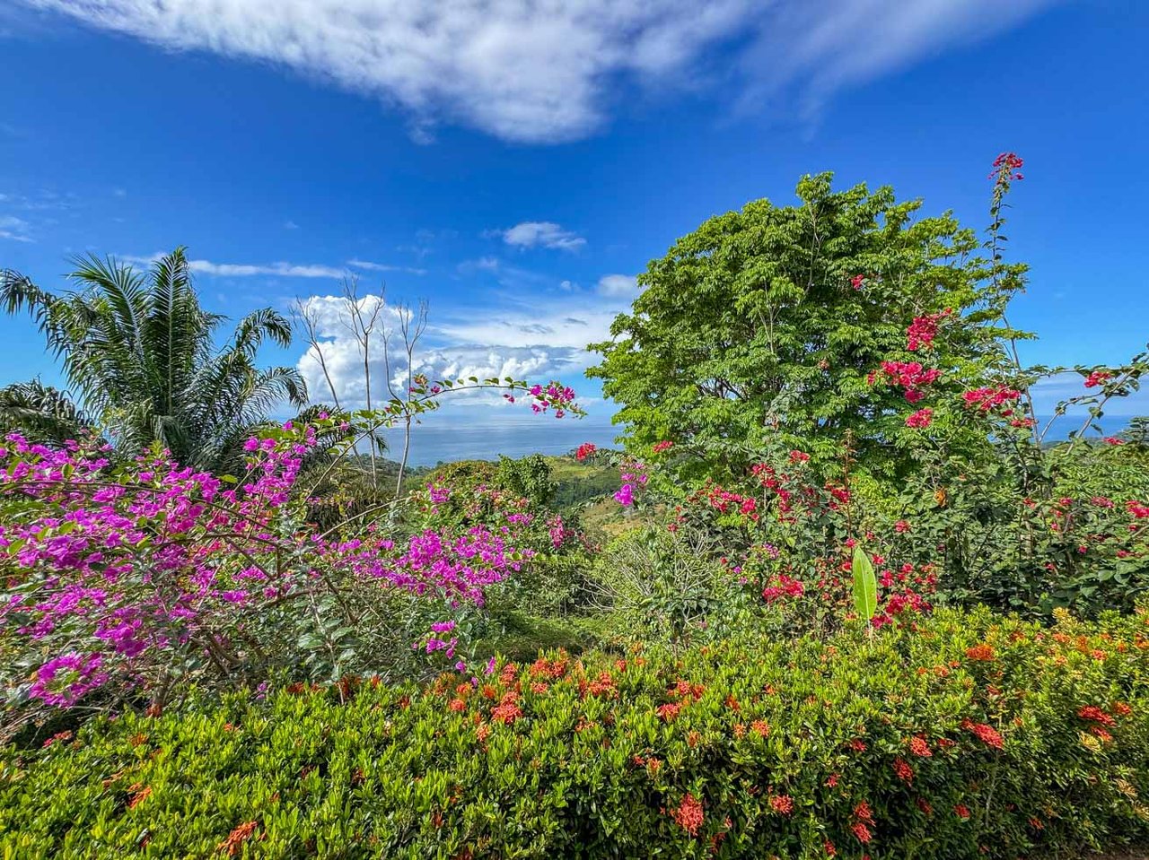 Ocean, Jungle & Mountain View Home in Ojochal | Protected Jungle Setting