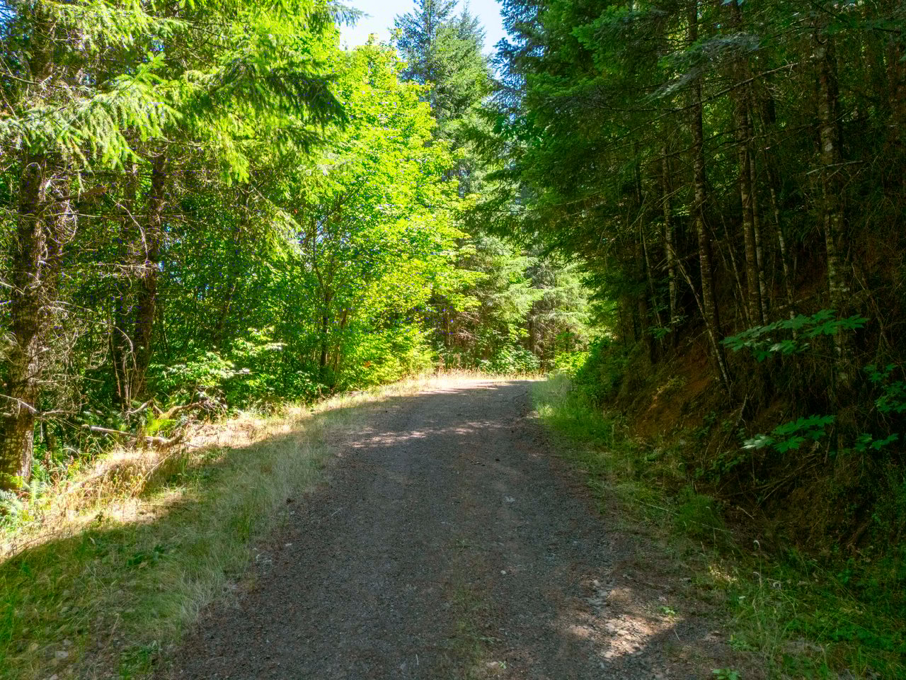 Coast Fork Woodland Meadows
