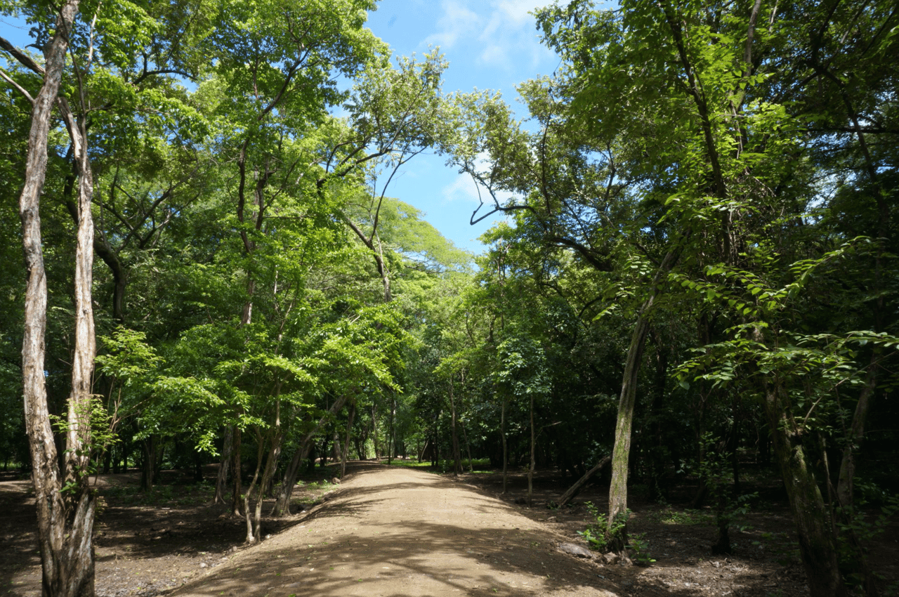 Casa Guanacaste Lot 22 - Tamarindo Park- Tropical Paradise