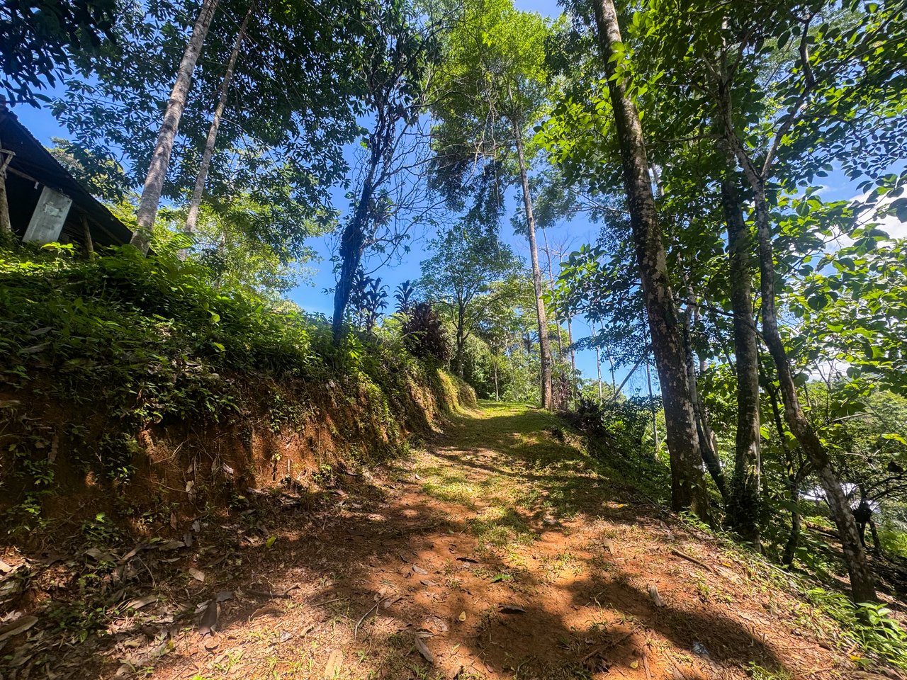 1.2- ACRE Mountain View Property with creek in  La Union Road, Uvita