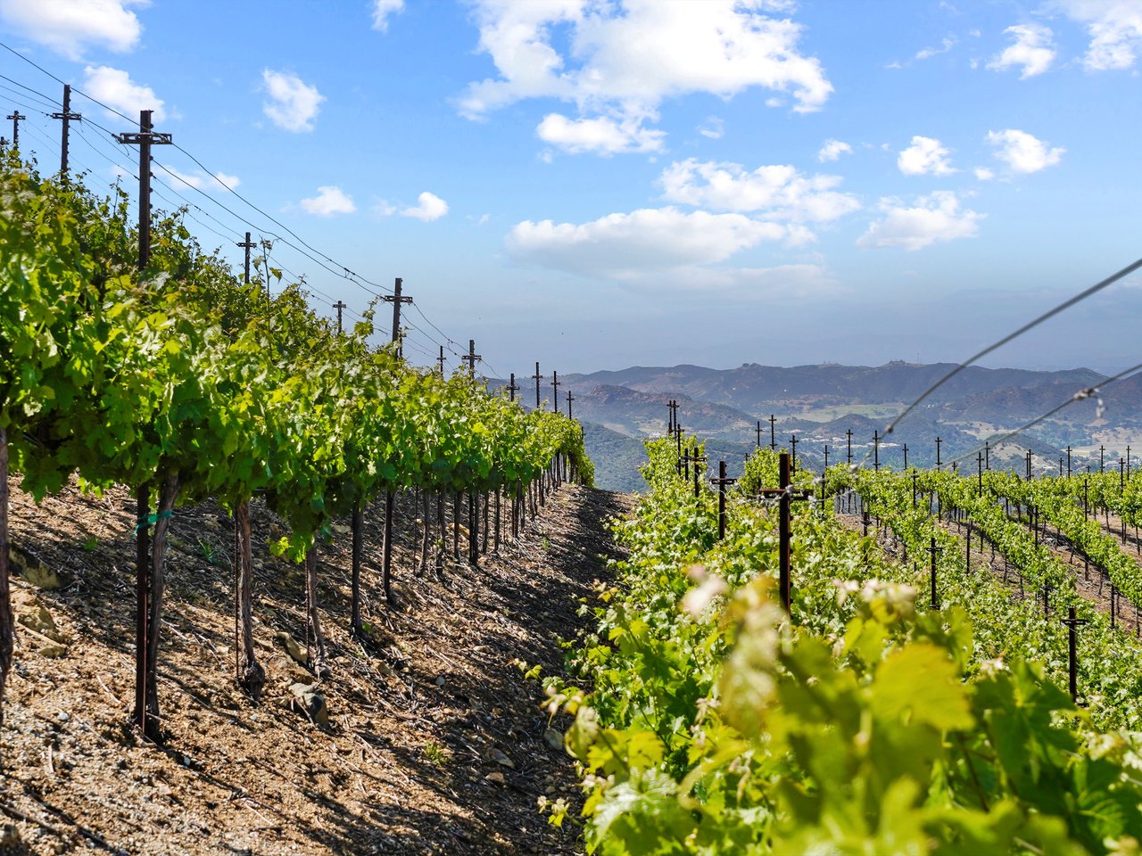 Malibu Wine Country