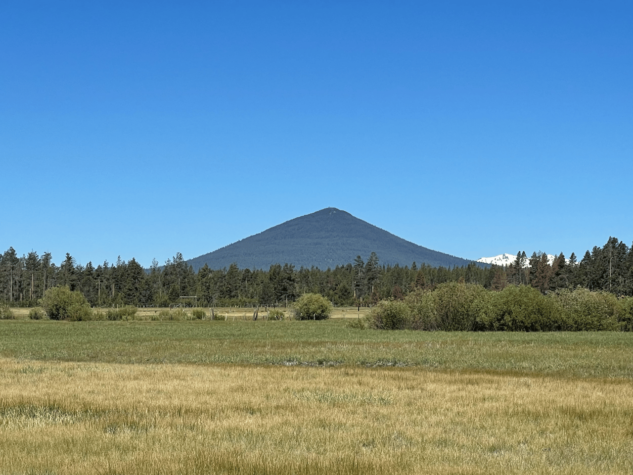 Just Listed: 23 Acres of Land with River Frontage