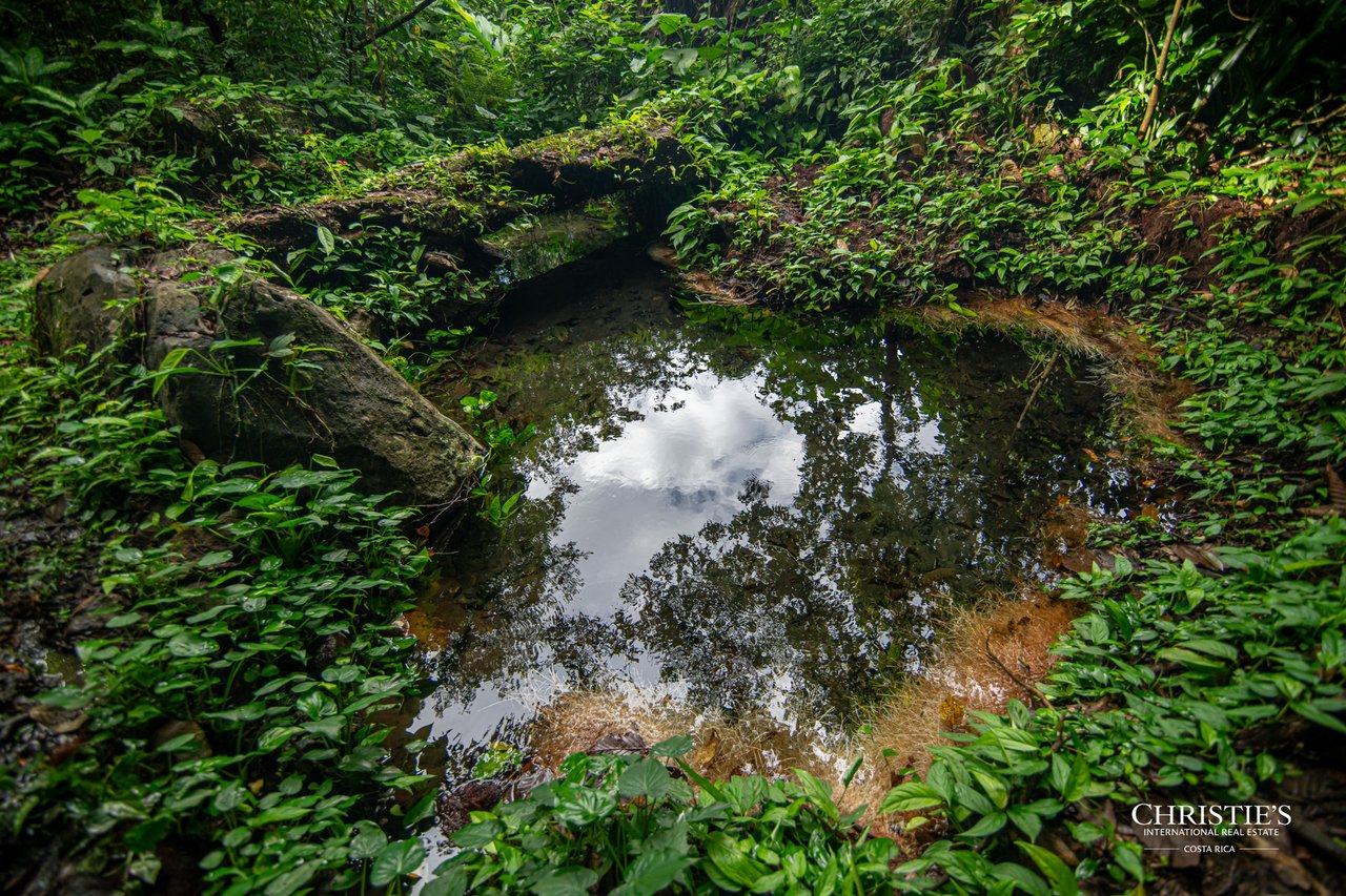 Origins Mineral: A Rare Landholding in Guanacaste’s Volcanic Highlands