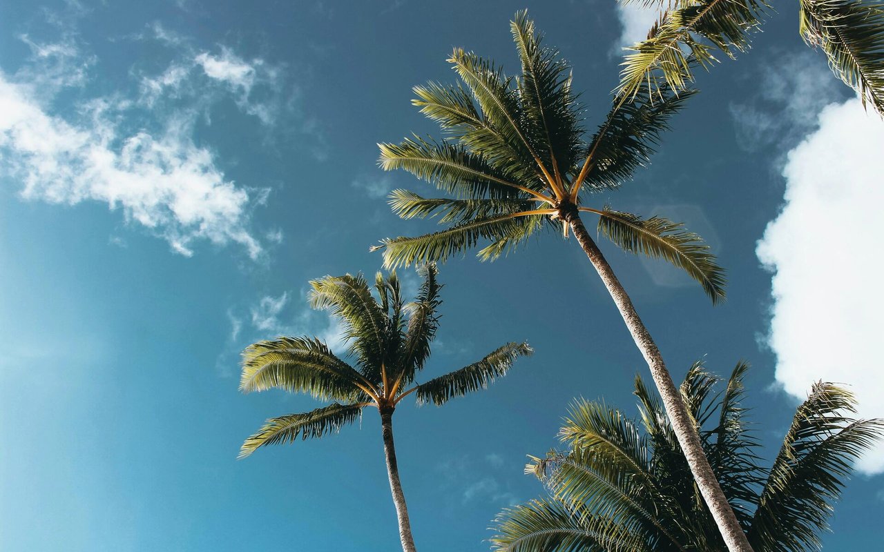 Sotheby’s International Realty Expands Presence in Vietnam