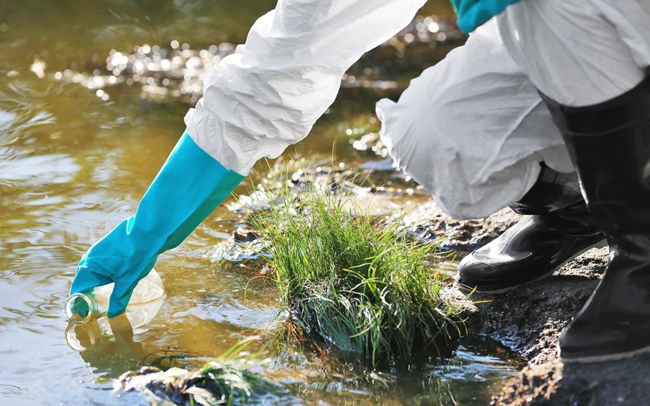 Environmental Issues