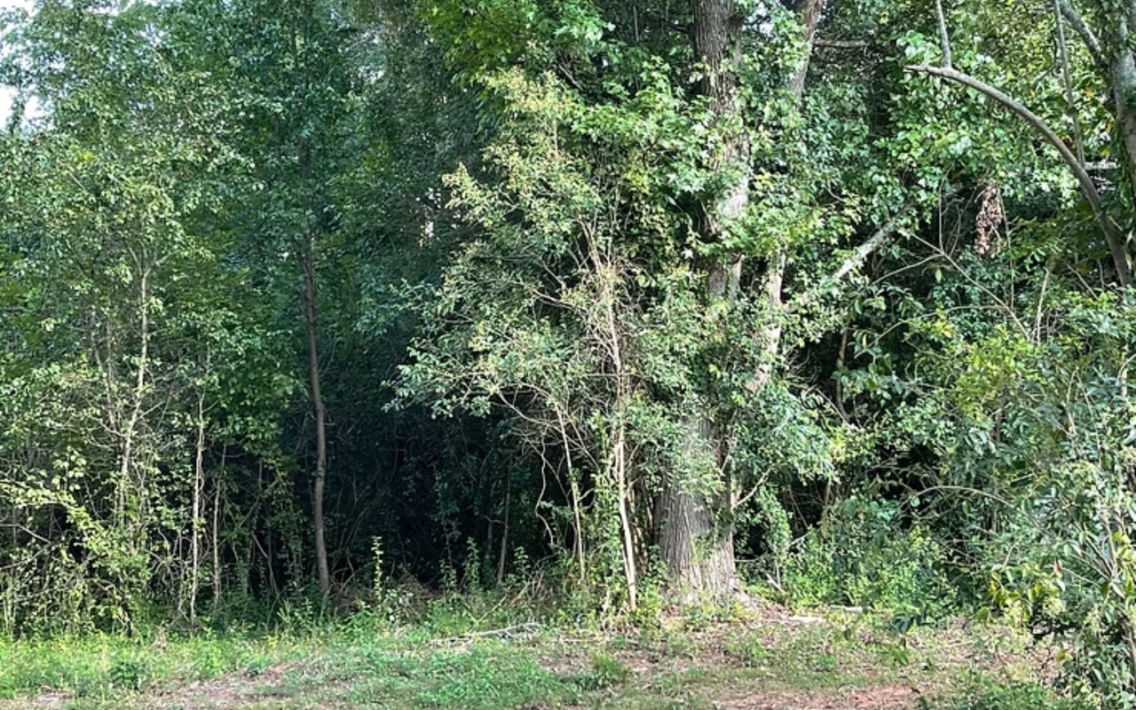 Sold - Your Dream Tiny Home Lot Near Anderson's West Side Community Center