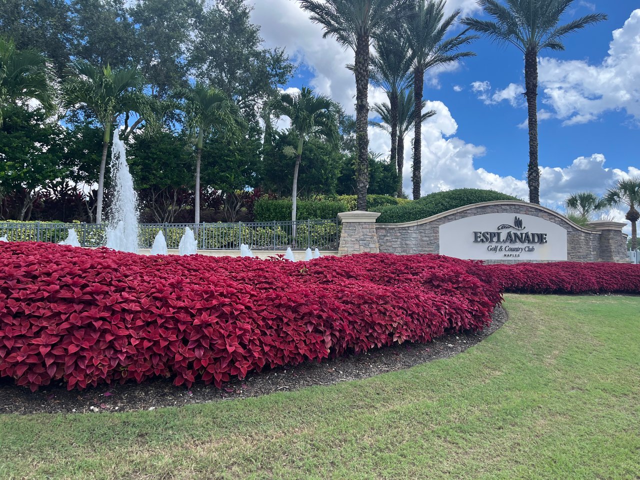 Inside Esplanade's Race to Finish Four Renovations Before Season