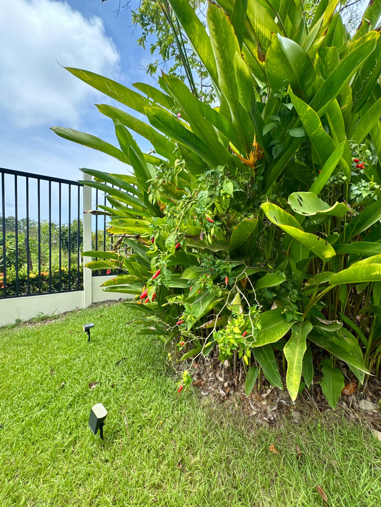 Great house & property with extra lot ready to build