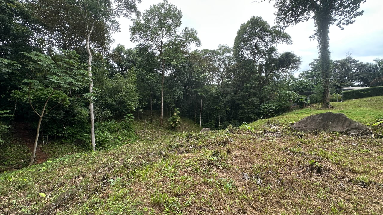 Ready to Build Ojochal Land with Riverfront 1.5 Acres, Residential and Commercial Possibilities!