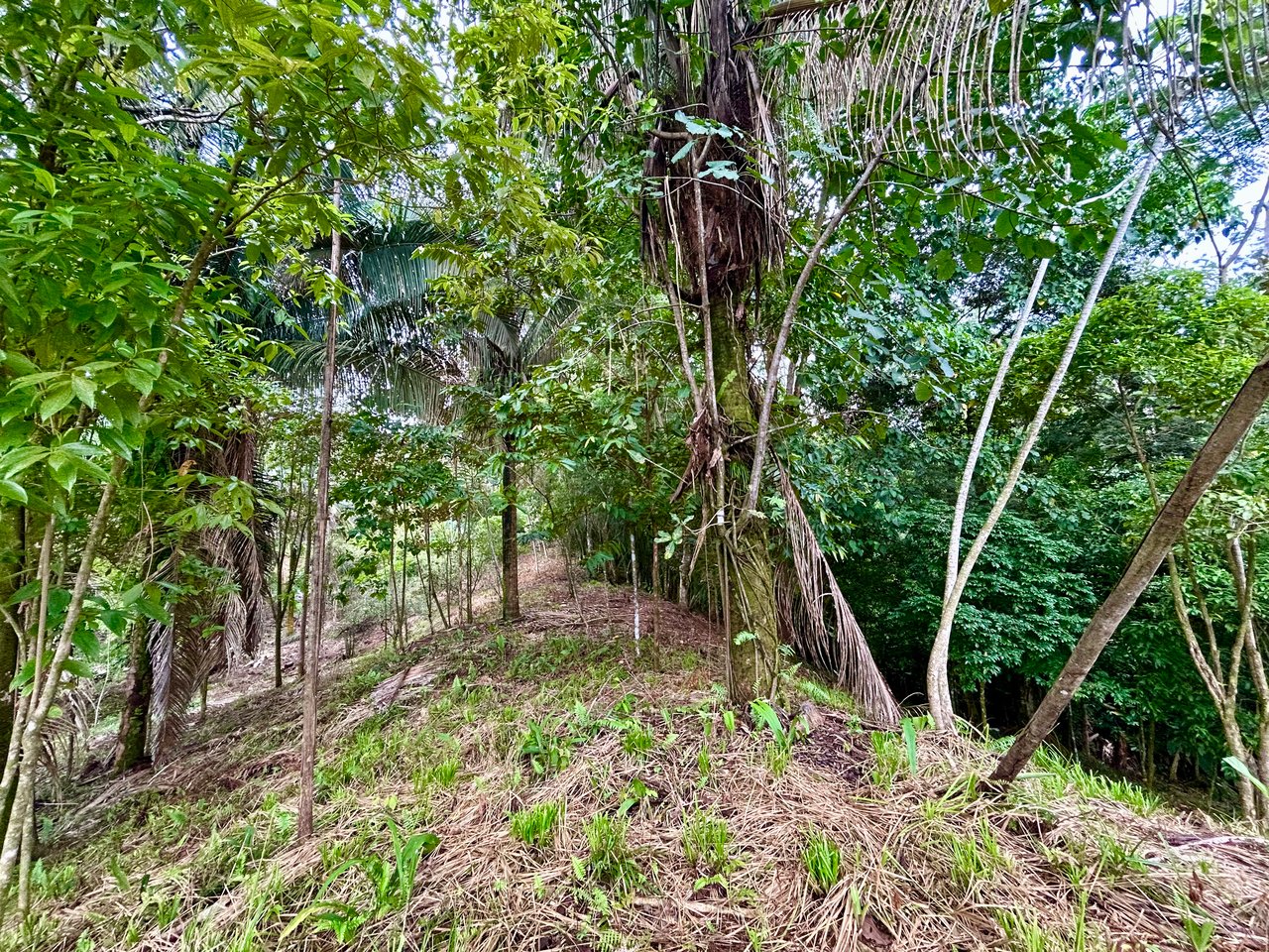 Over 1.4 Acres in Playa Hermosa – Just 5 Minutes from the Beach!