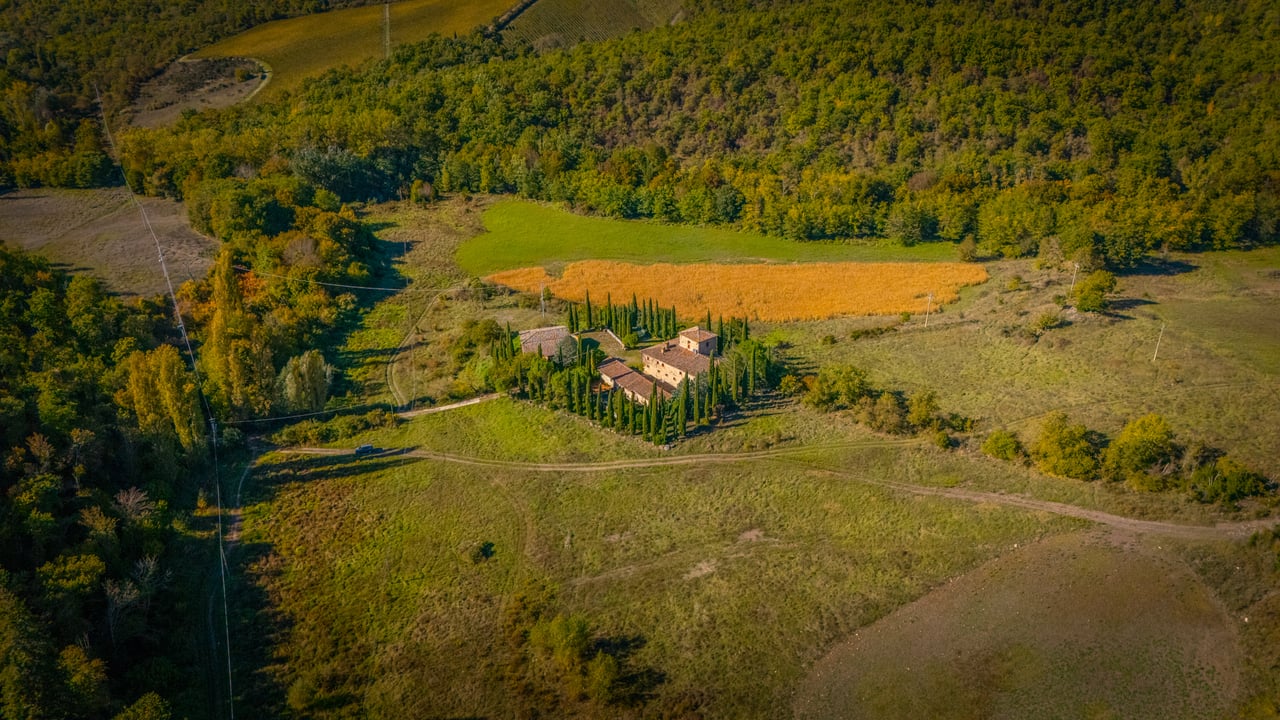 IL FIENILE DEL CHIANTI