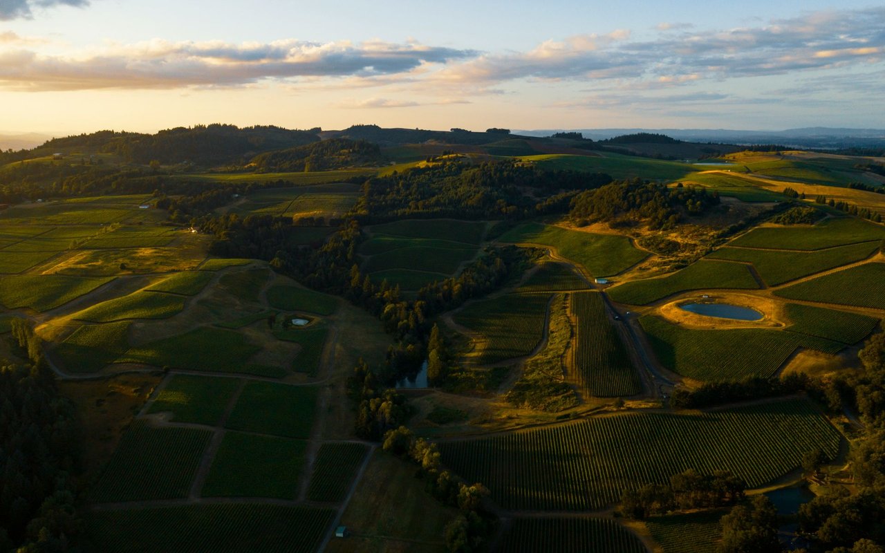 Willamette Valley