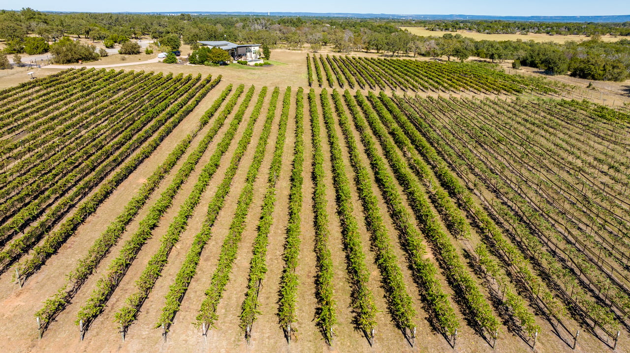 Round Mountain Vineyard