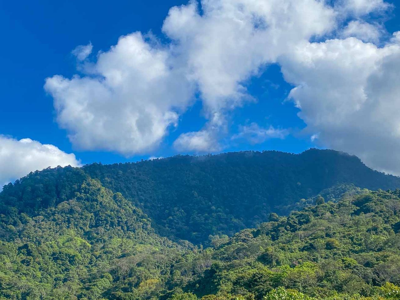Ocean, Jungle & Mountain View Home in Ojochal | Protected Jungle Setting