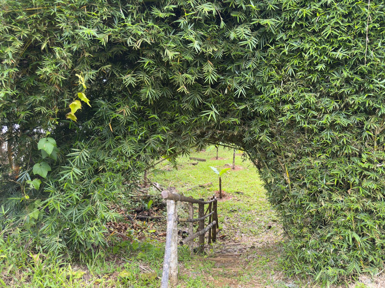 Baru, 2 bdrm home + studio casita Diamonte waterfall view