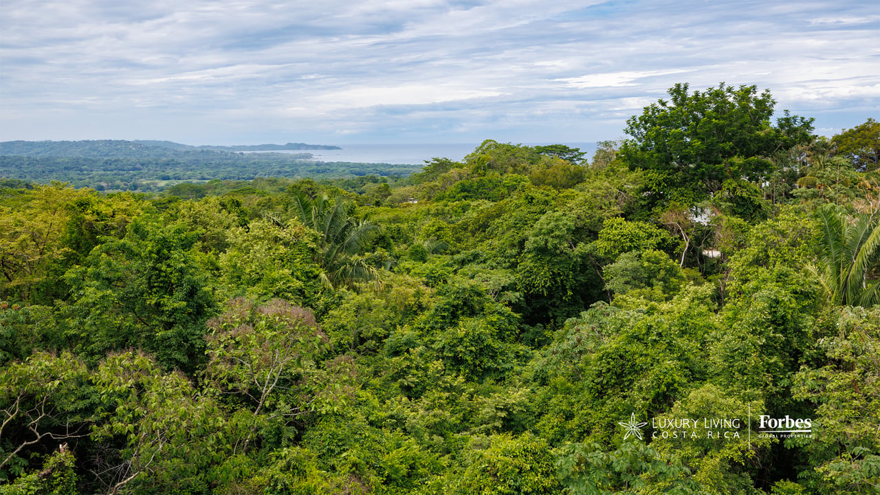 Elevated view over tropical forest toward the coast beneath a cloudy sky.