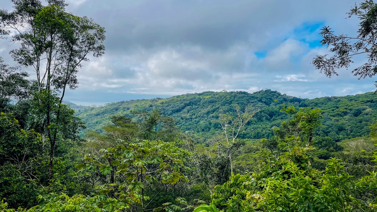 Jungle Canopy Retreat with Ocean, Cano Island & Mountain Views Near Dominical