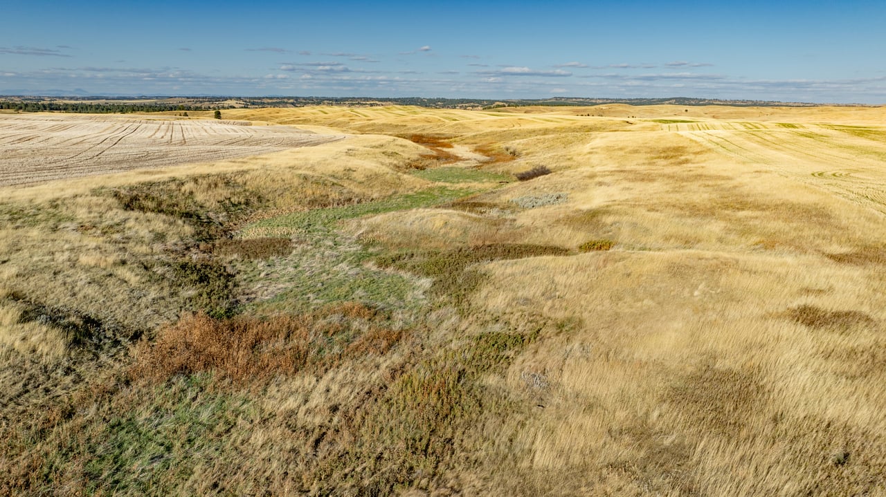 Salt Creek Ranch