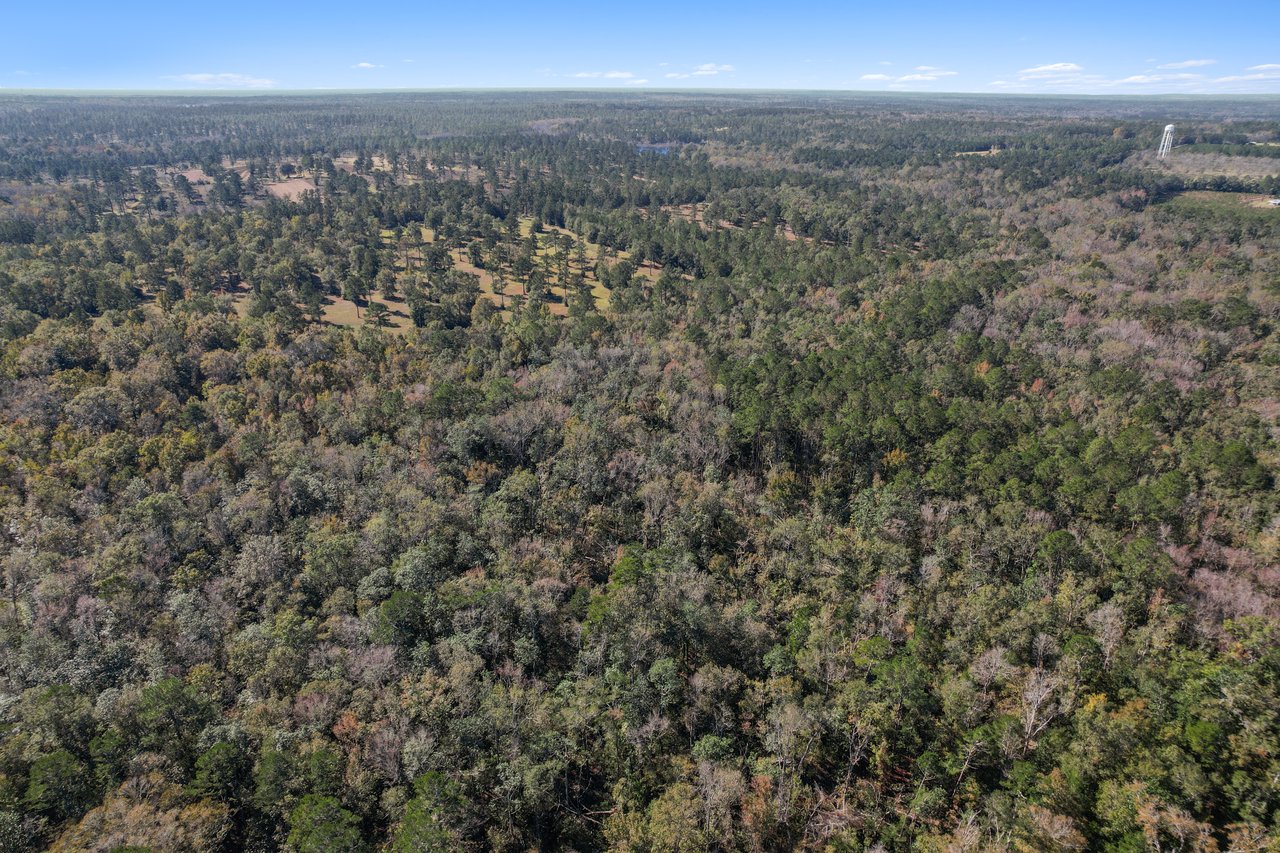 Aerial view of a vast, dense forest with varying shades of green and brown trees, under a clear blue sky, conveying tranquility and expanse.Aerial view of a vast, dense forest with varying shades of green and brown trees, under a clear blue sky, conveying tranquility and expanse.