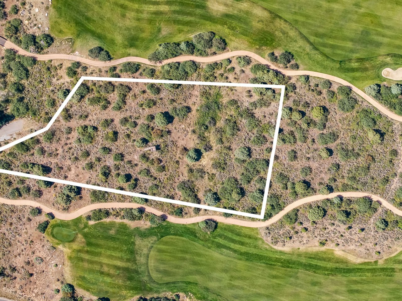 217 Saddle Rock
