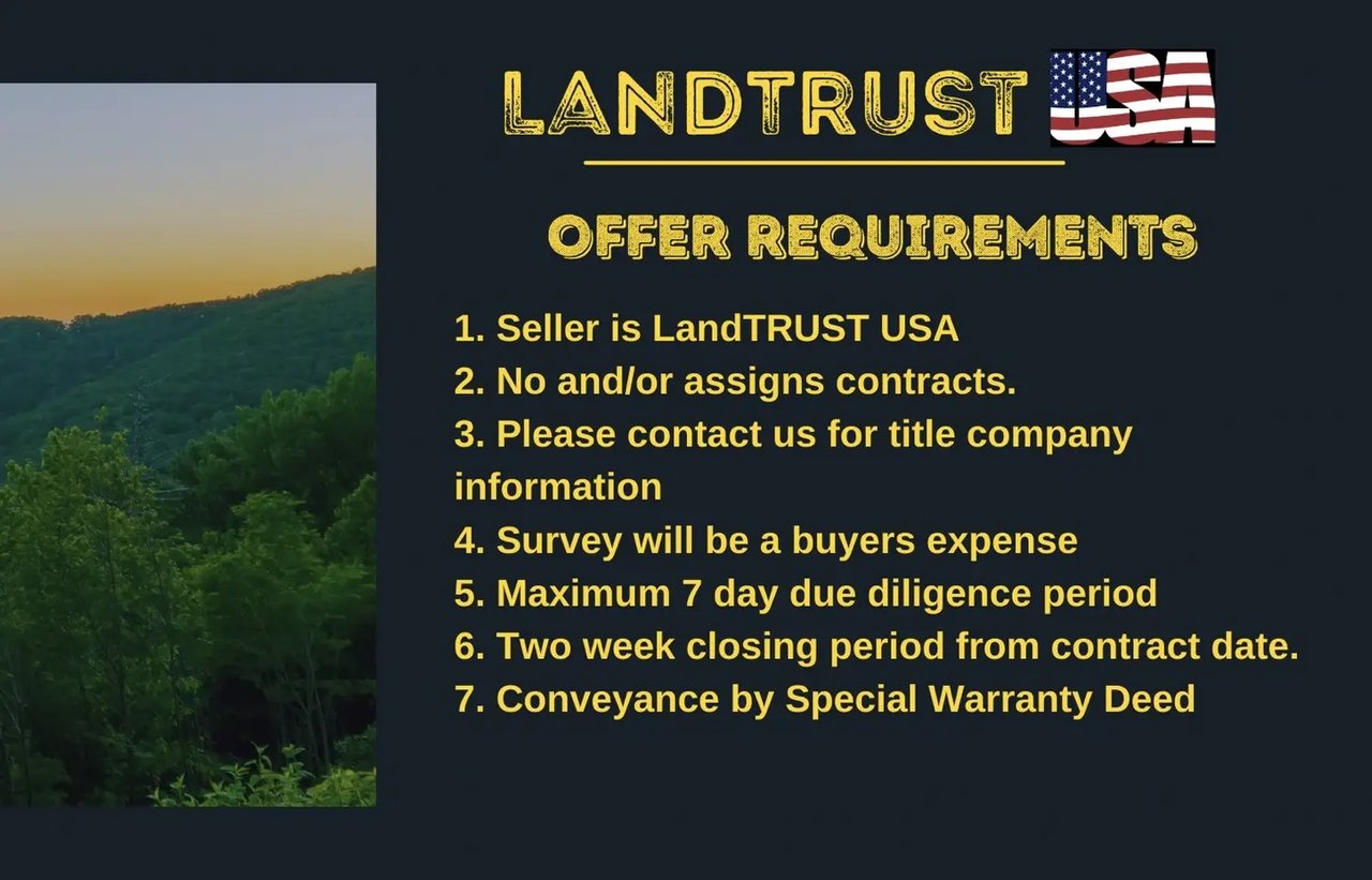 Lot 5 Owl