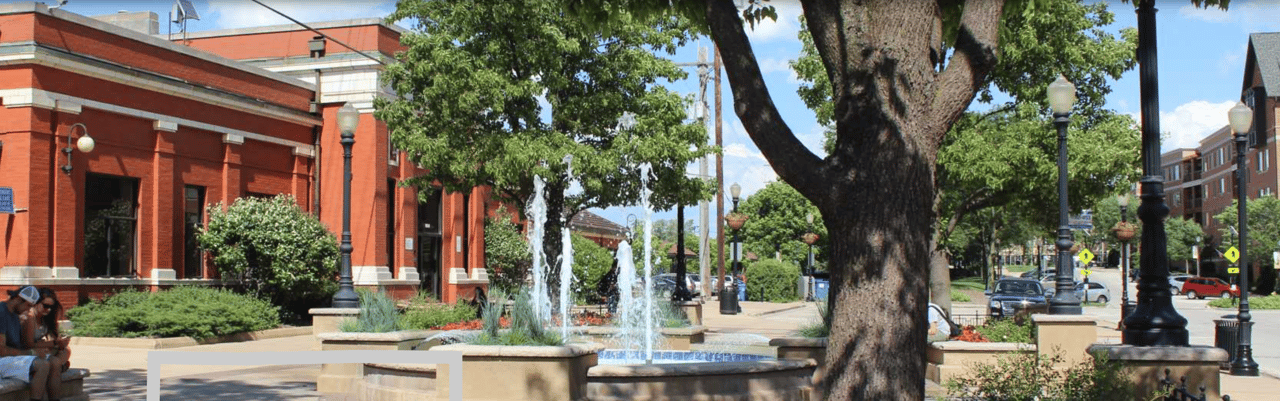 How to Find the Best Real Estate Agent in Downers Grove Illinois, DuPage County cover