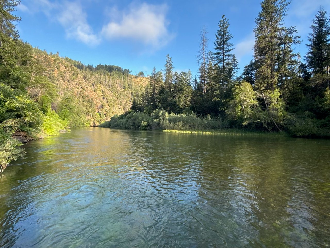 Willow Creek