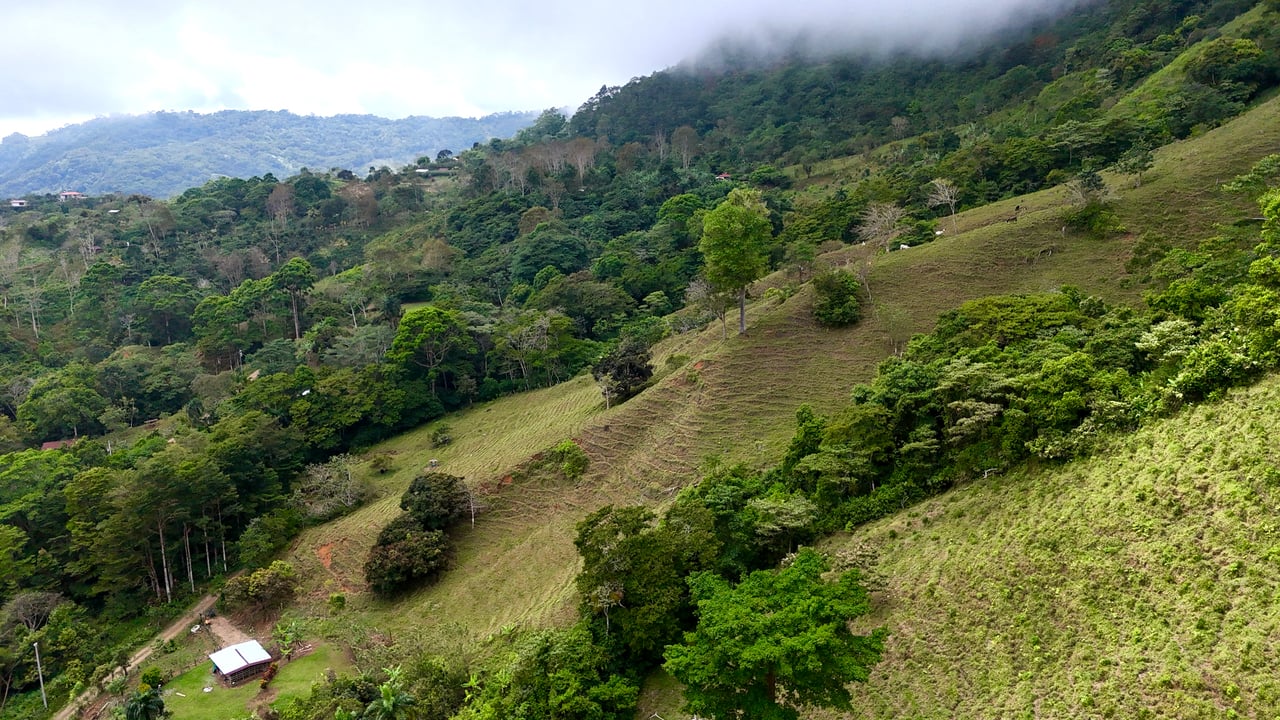 Gorgeous Land in San Luis Morete - Uvita - Over 17 Acres