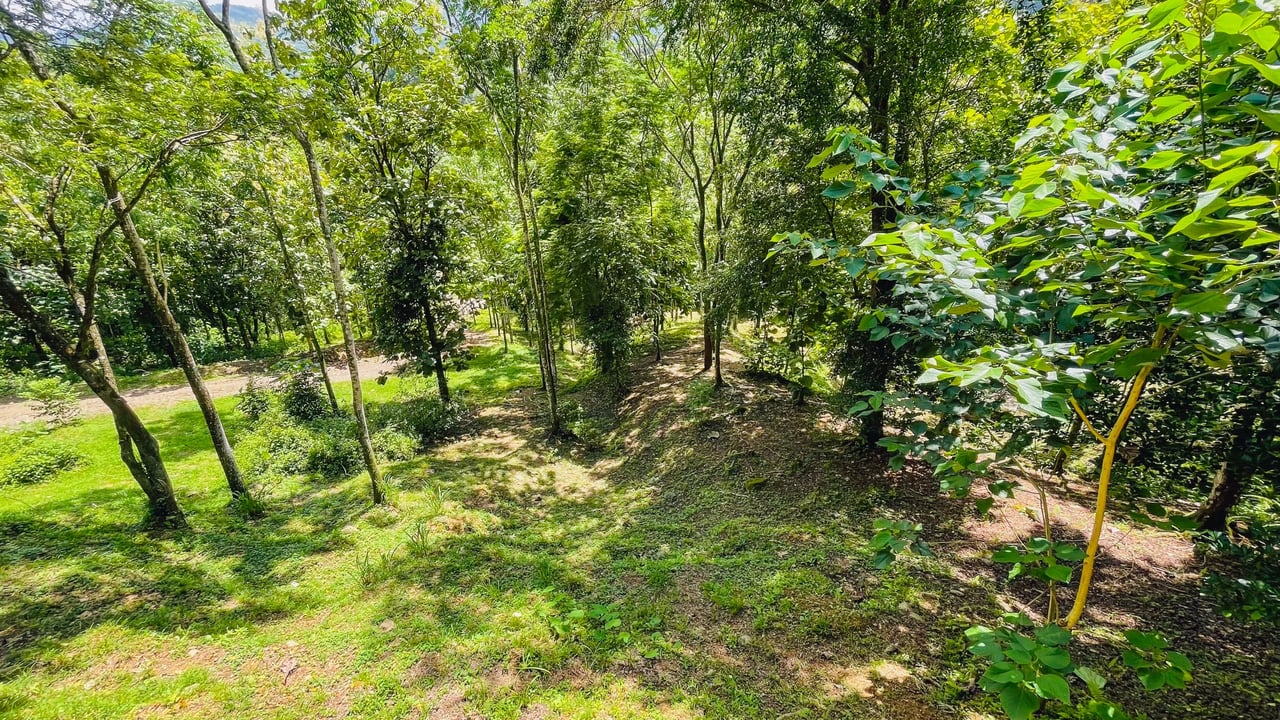 Mountain Chalet on 6.3 Acres with Stables & Panoramic Views