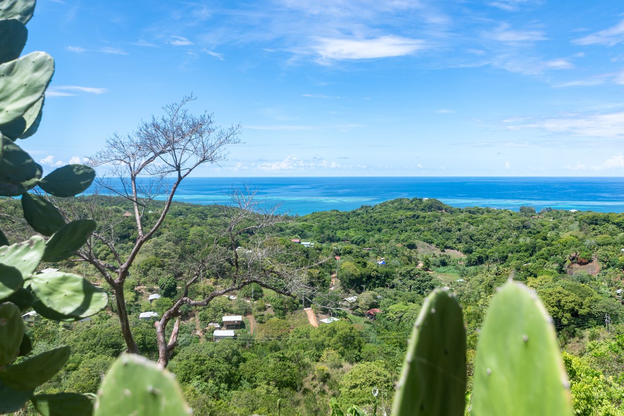 Tortuga Hills, Lot # 1