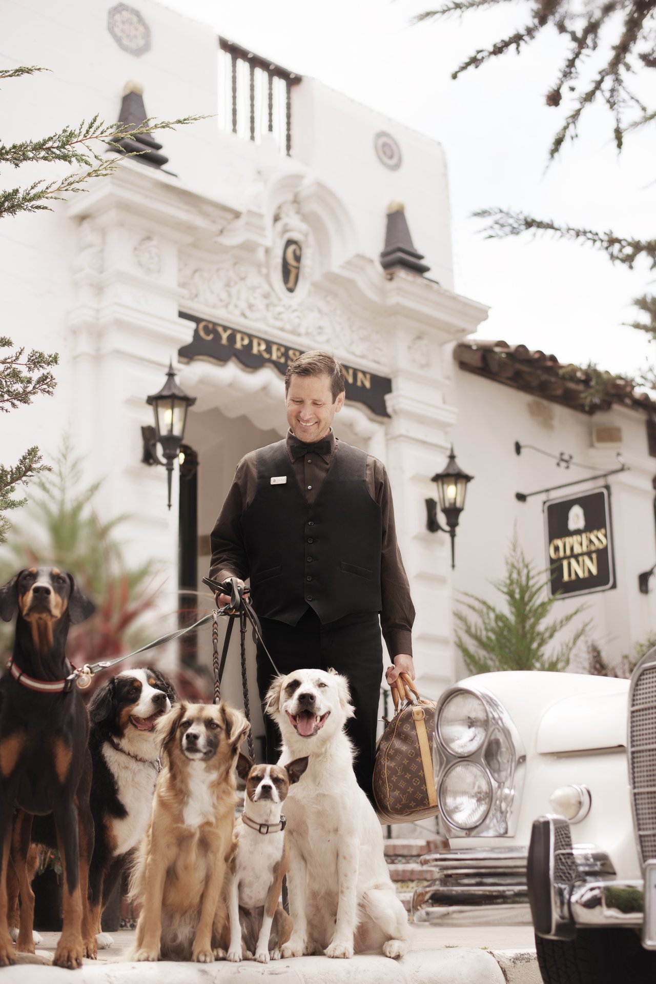Dog Friendly Town: Carmel-by-the-Sea