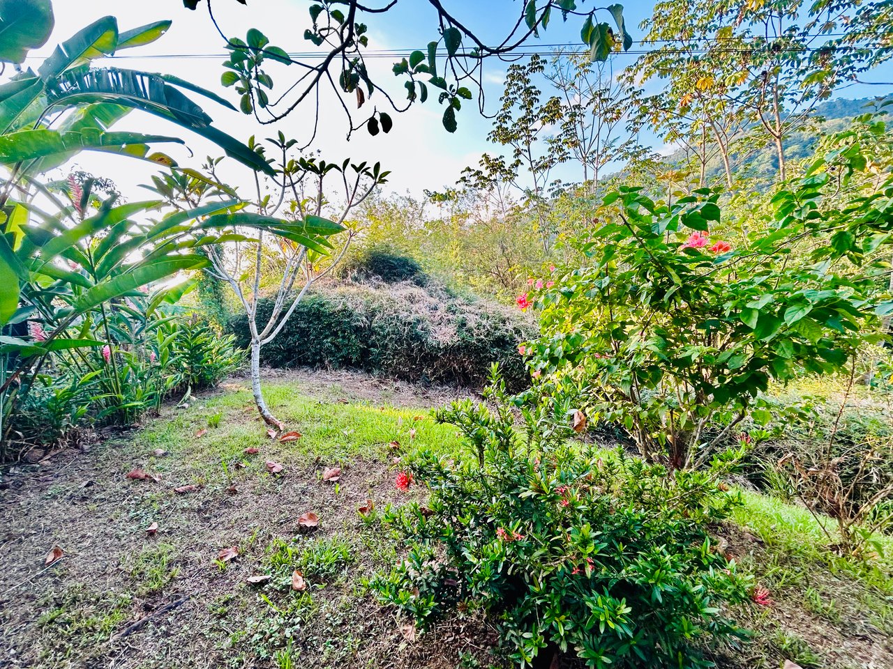 Tropical 2BR Home Near Playa Hermosa Beach | Successful Airbnb Rental in Uvita
