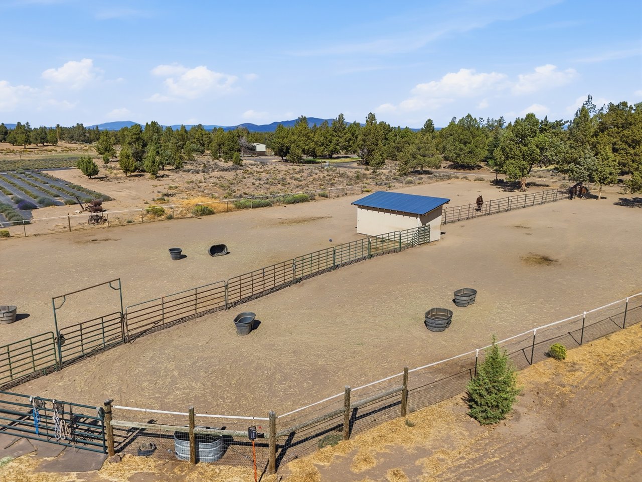 Ghost Creek Ranch 
