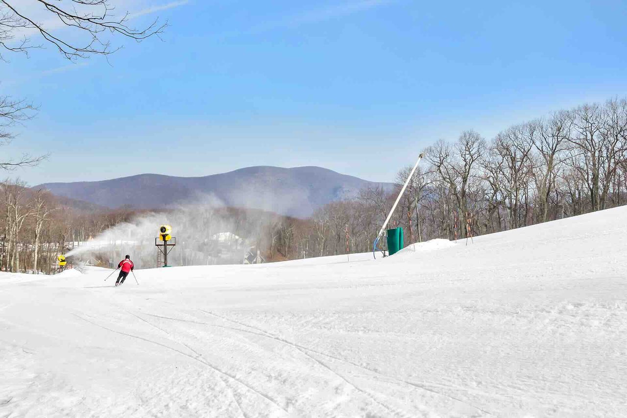 Wintergreen