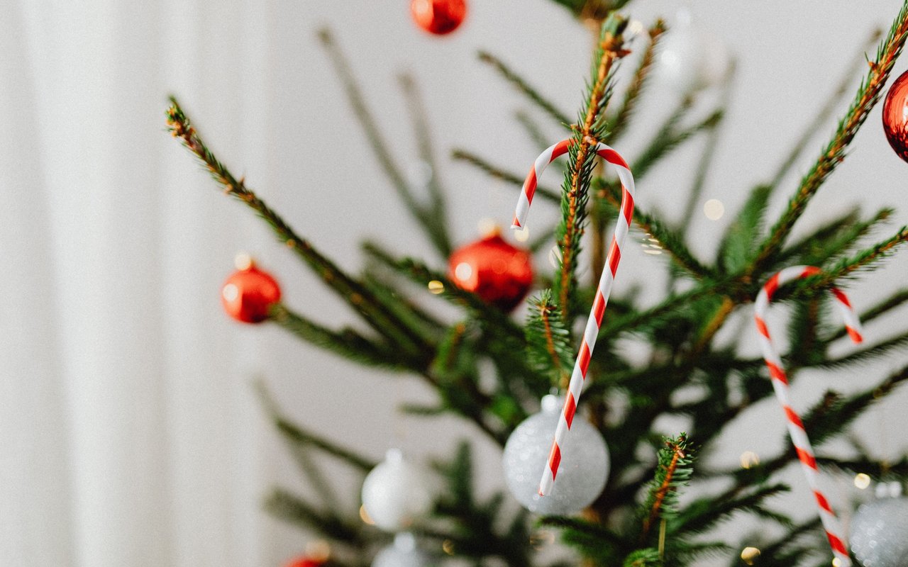 Christmas tree branches with red baubles, white ornaments, and striped candy canes.