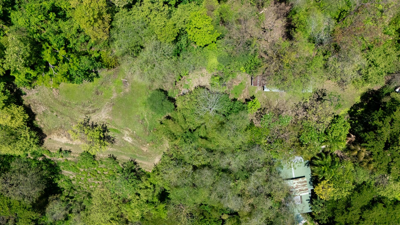 Oceanview Land for Your Dream Home in Santa Teresa
