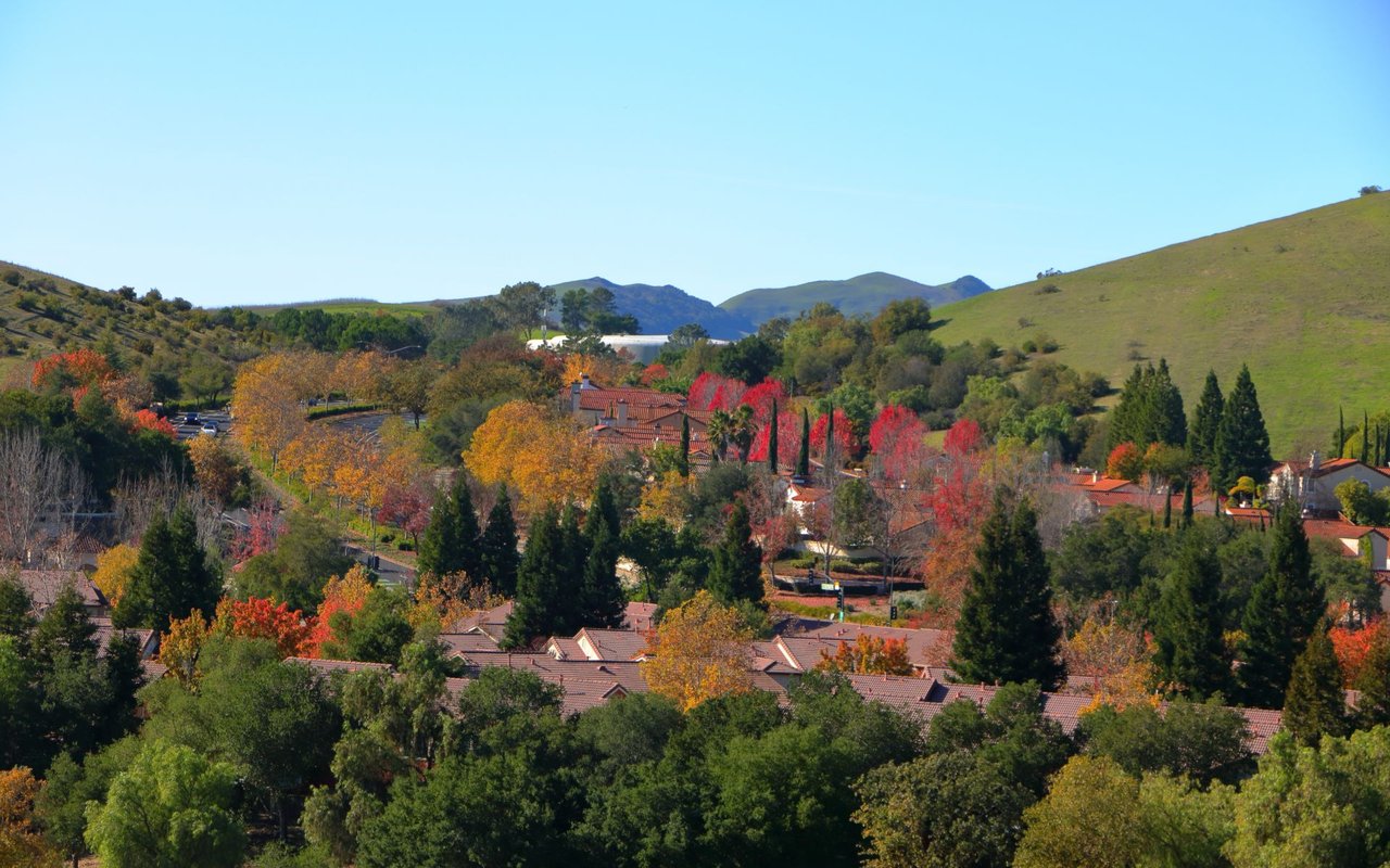Walnut Creek