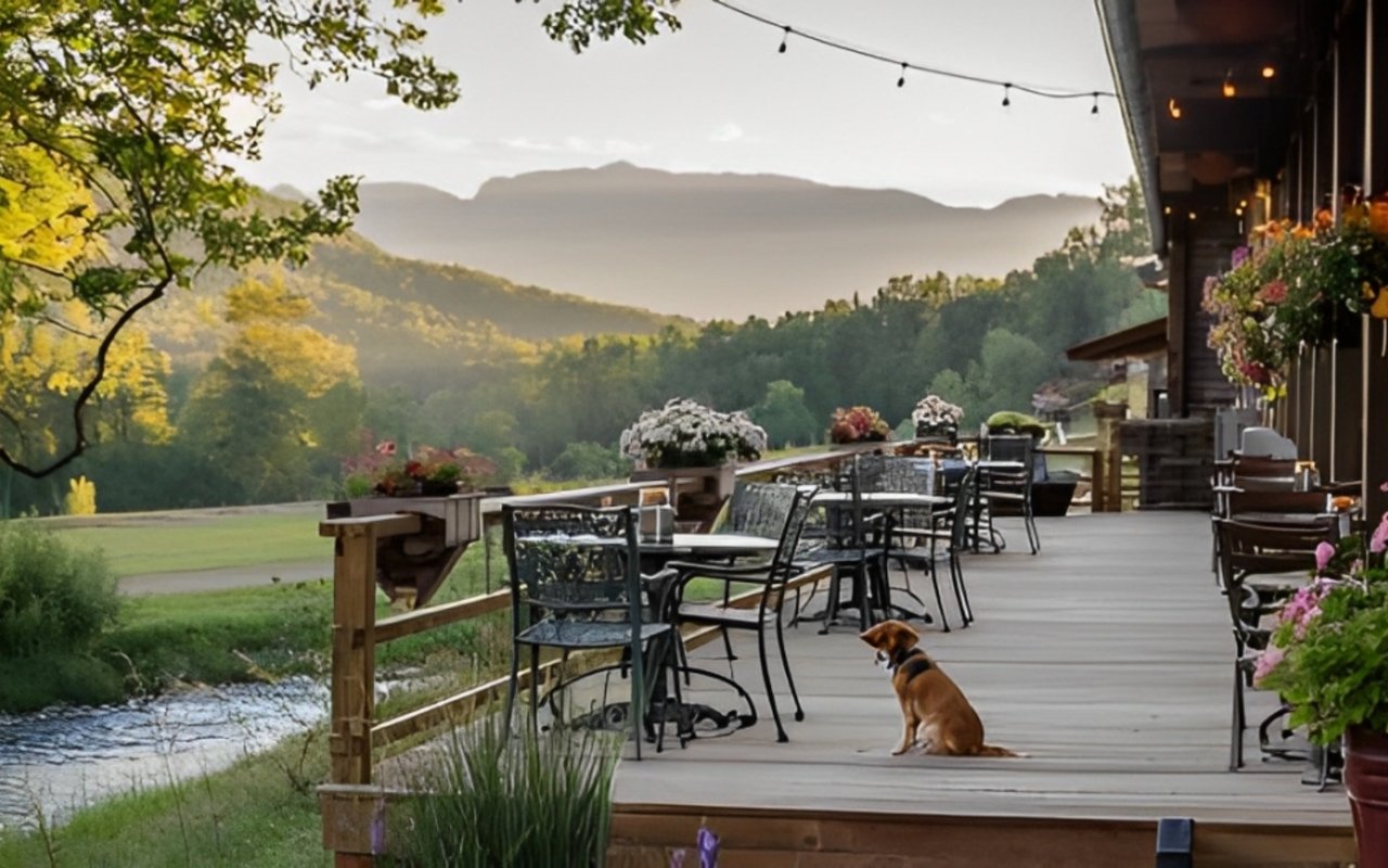 Pet-Friendly Restaurants in Blue Ridge