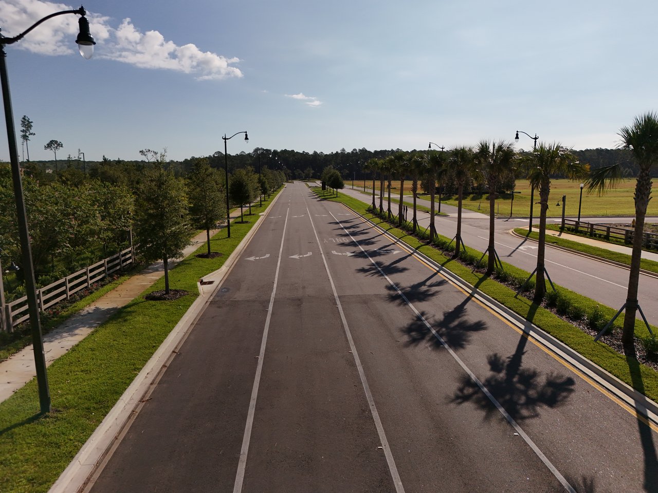 Palm-Lined Boulevard in EverRange New Construction Community