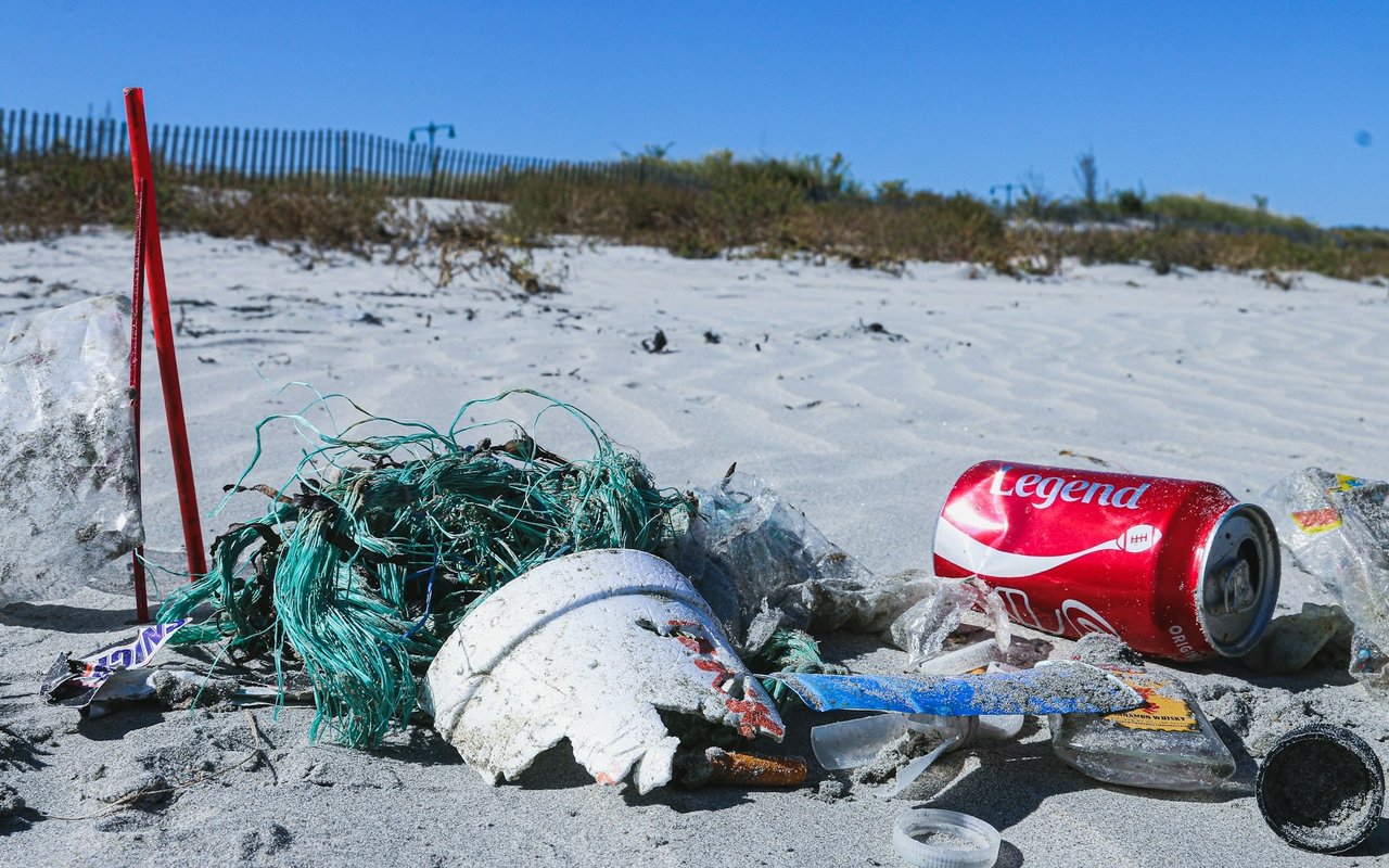 Save The Bay: Bay Day Challenge 2022