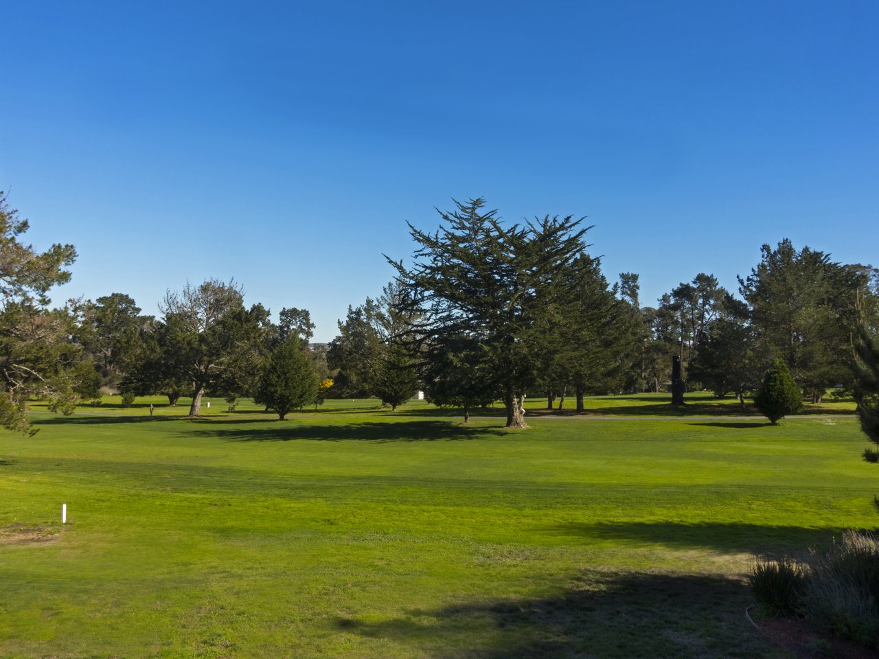 36 Castro Road, Monterey