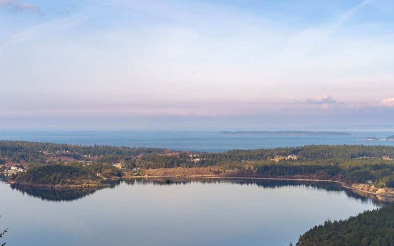 Falling Mortgage Rates are Bringing Buyers Back