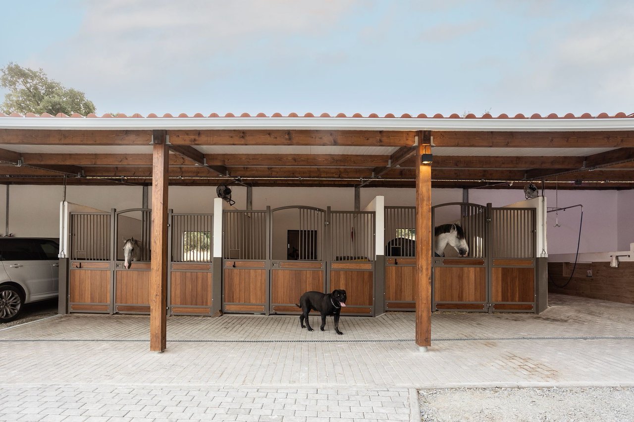 Magnificent and Grand Equestrian Estate in the Alentejo