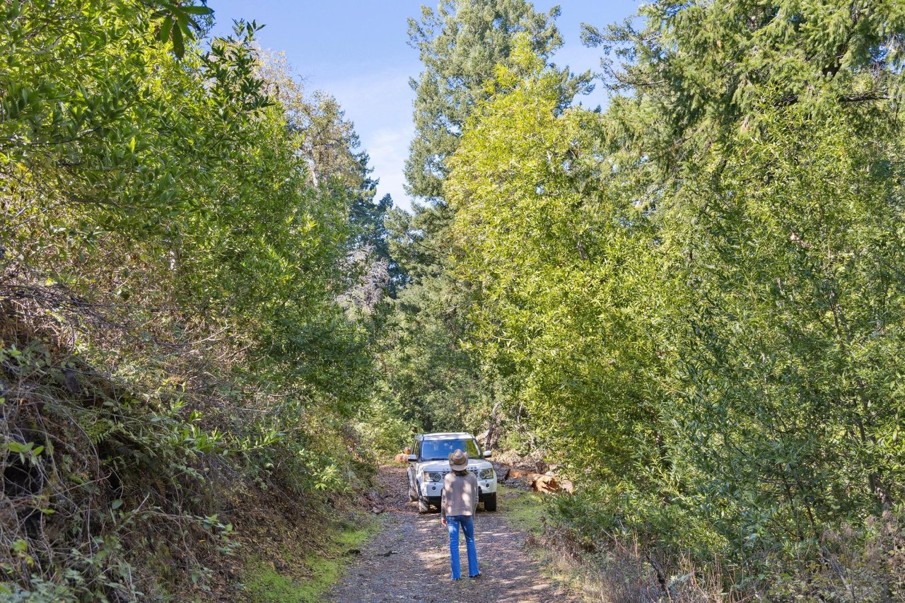 19089 Skyline Boulevard