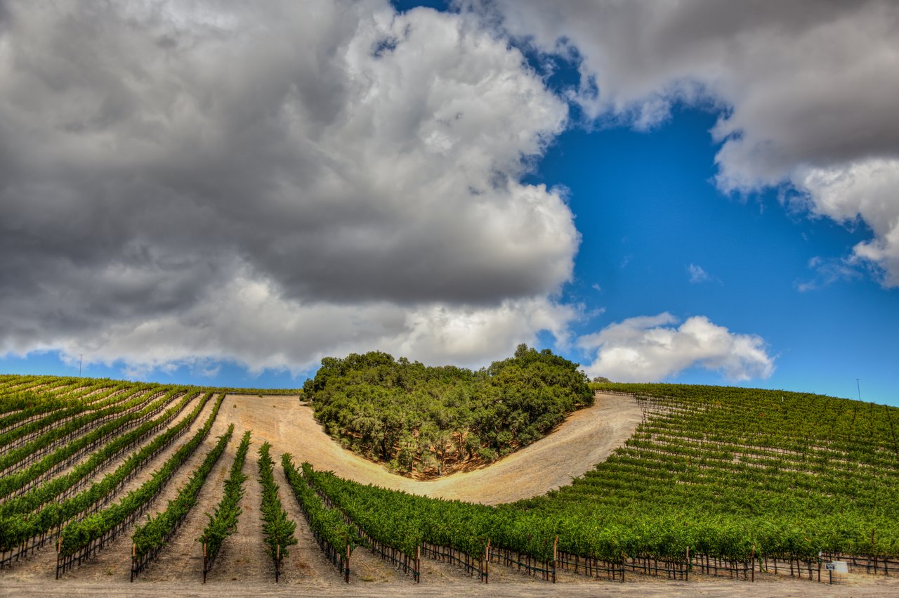 Paso Robles