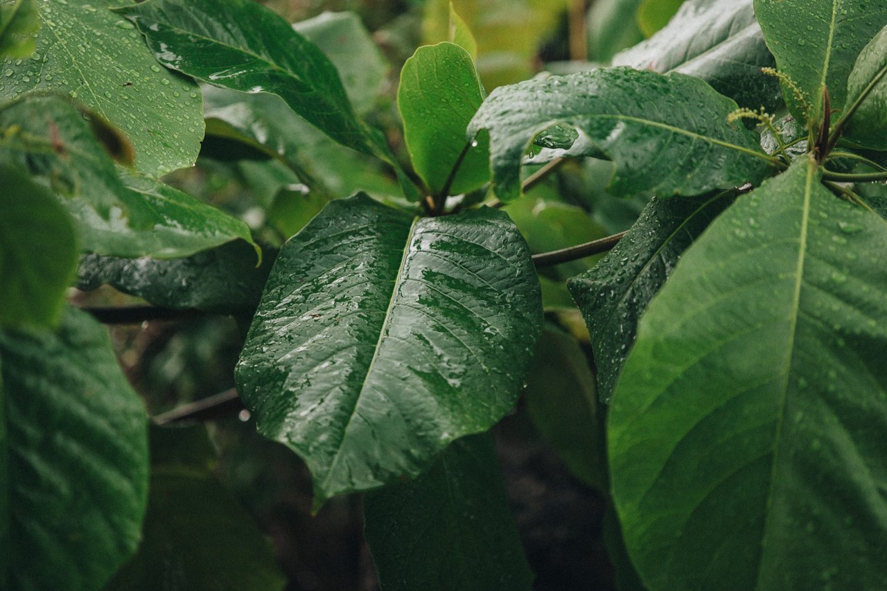  Punta Sabana & Mar Serena