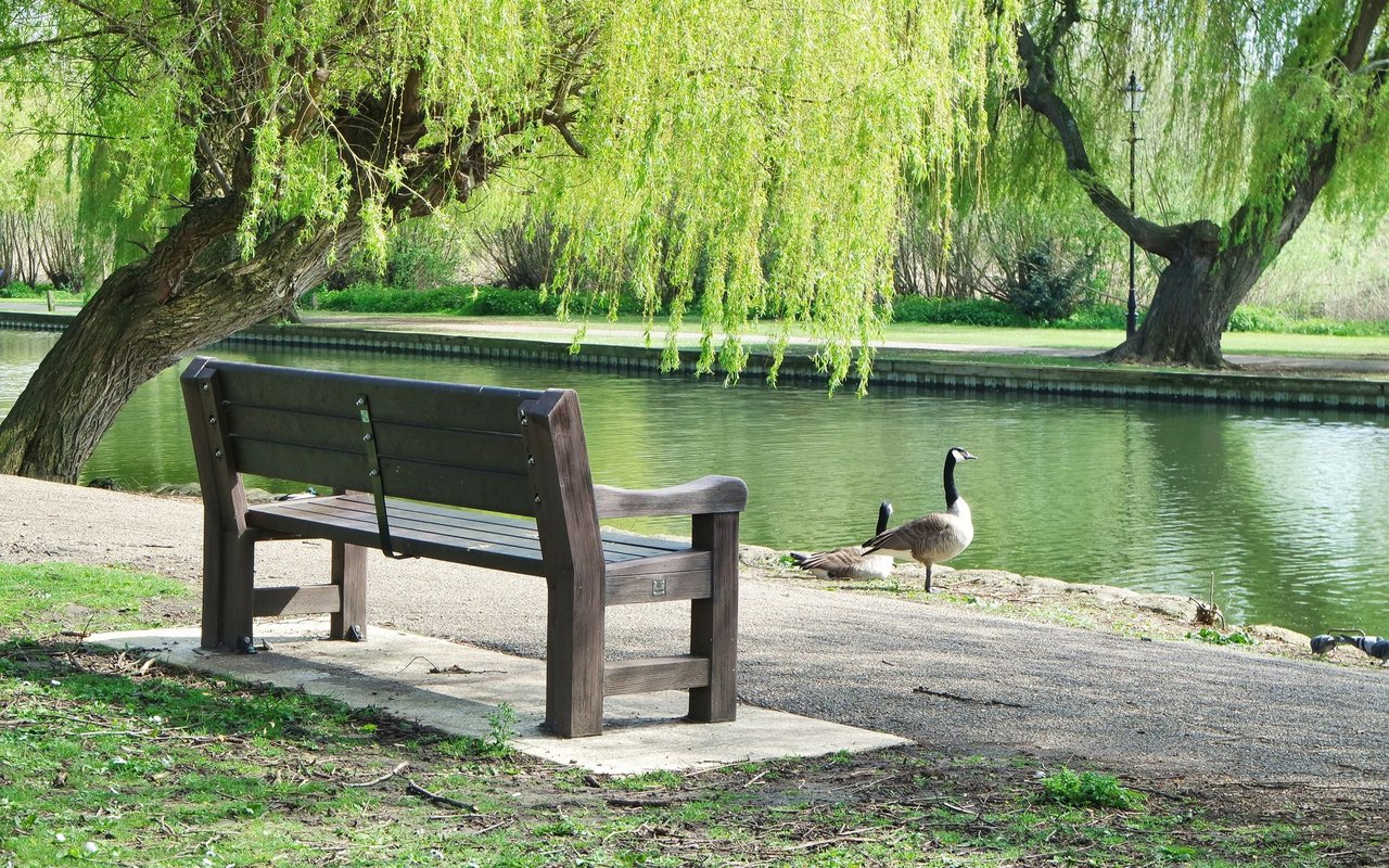 Bedford Park