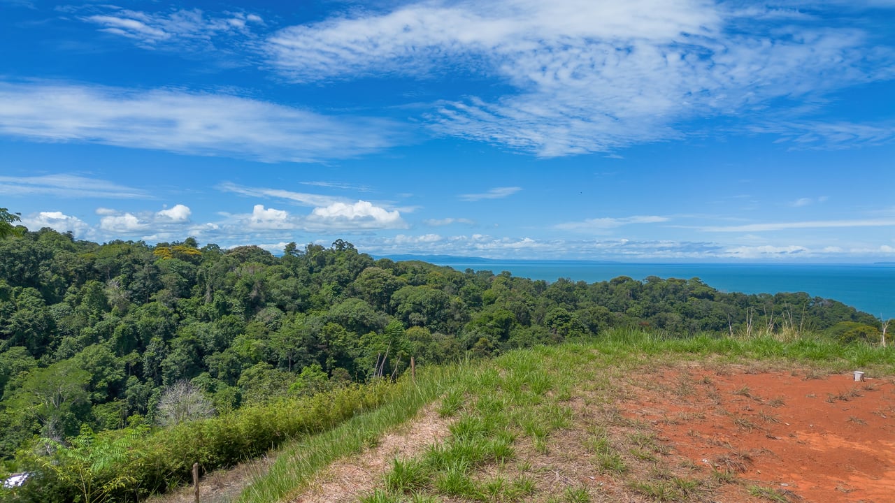  Luxury Ocean View Lot in Piñuelas - Premier Building Site 