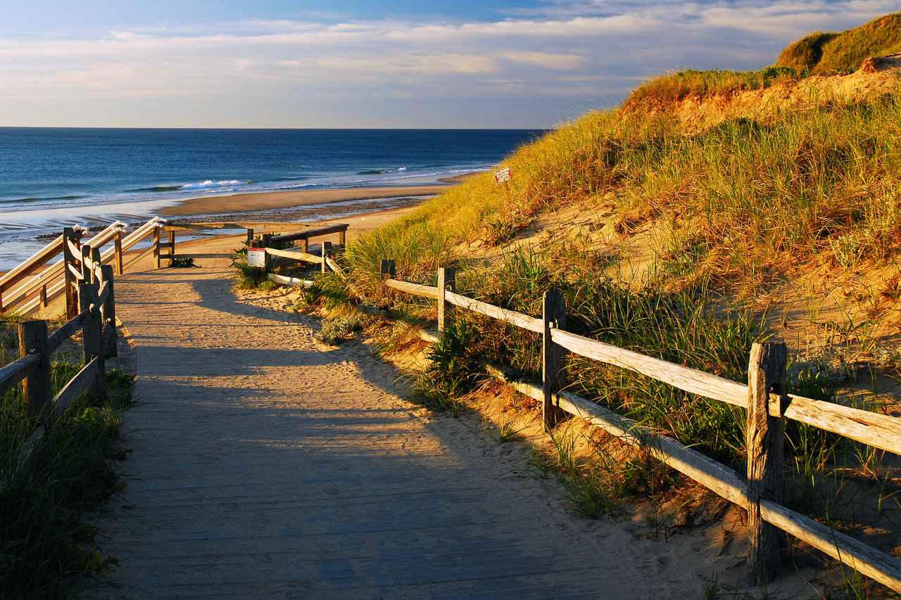Wellfleet