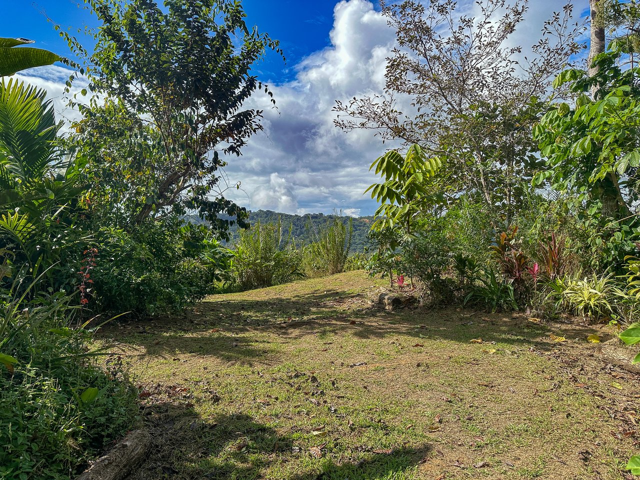 Tinamastes Costa Rica Property with Home, Yoga Deck & Land